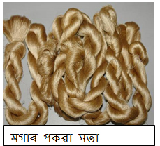 SILKS-Assamese