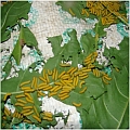 silks