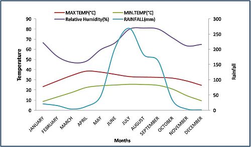 Gaya Climate